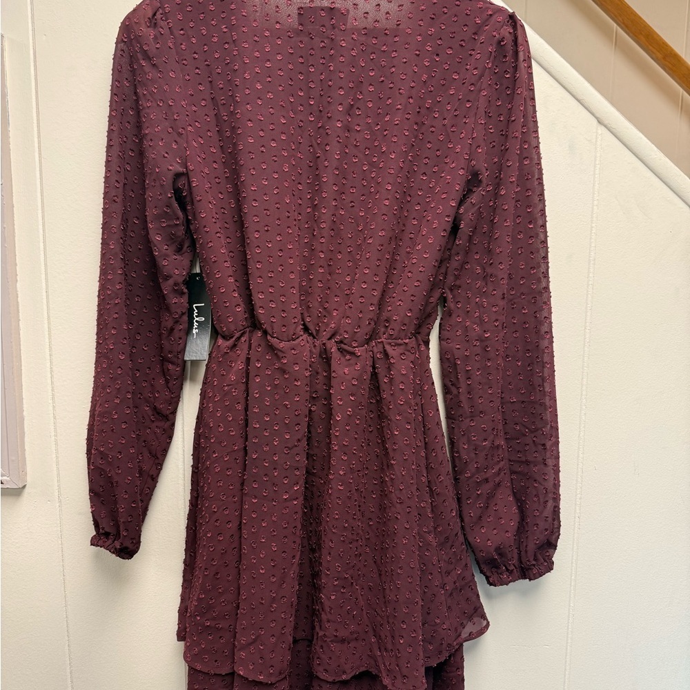 NWT Lulus Brilliant Love Burgundy Swiss Dot Long Sleeve Skater Dress Size Small - Picture 5 of 5